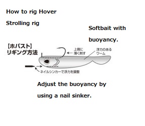 Hook – Page 9 – Lure&Boat BackLash Japan
